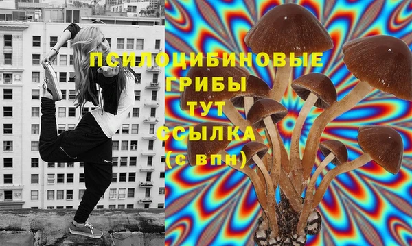 бошки Касимов
