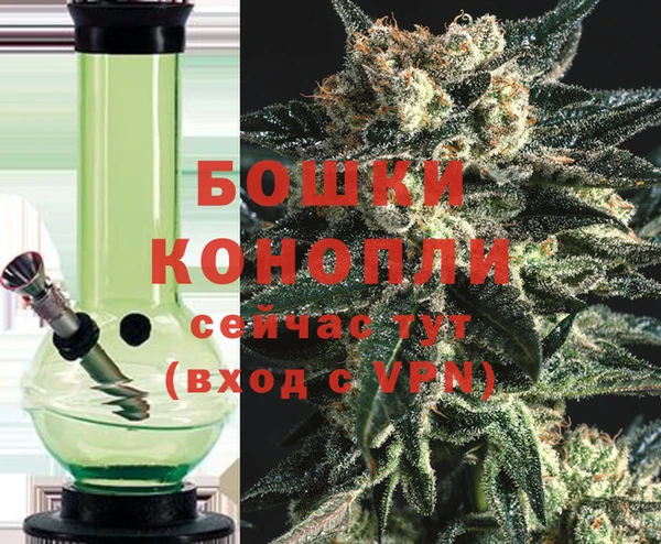 бошки Касимов